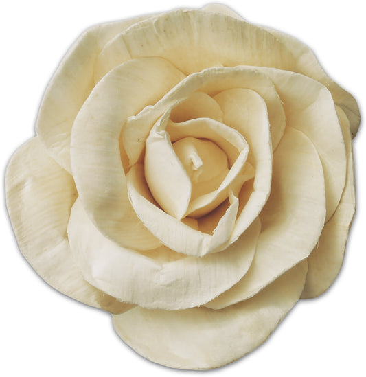 ROSA QUEEN BIANCA 9CM