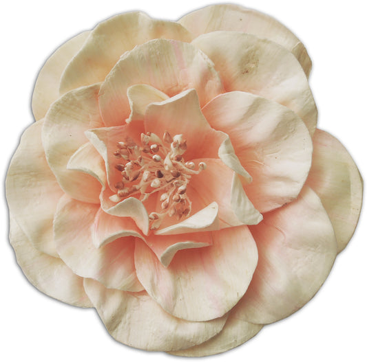 ROSA CANINA 9CM